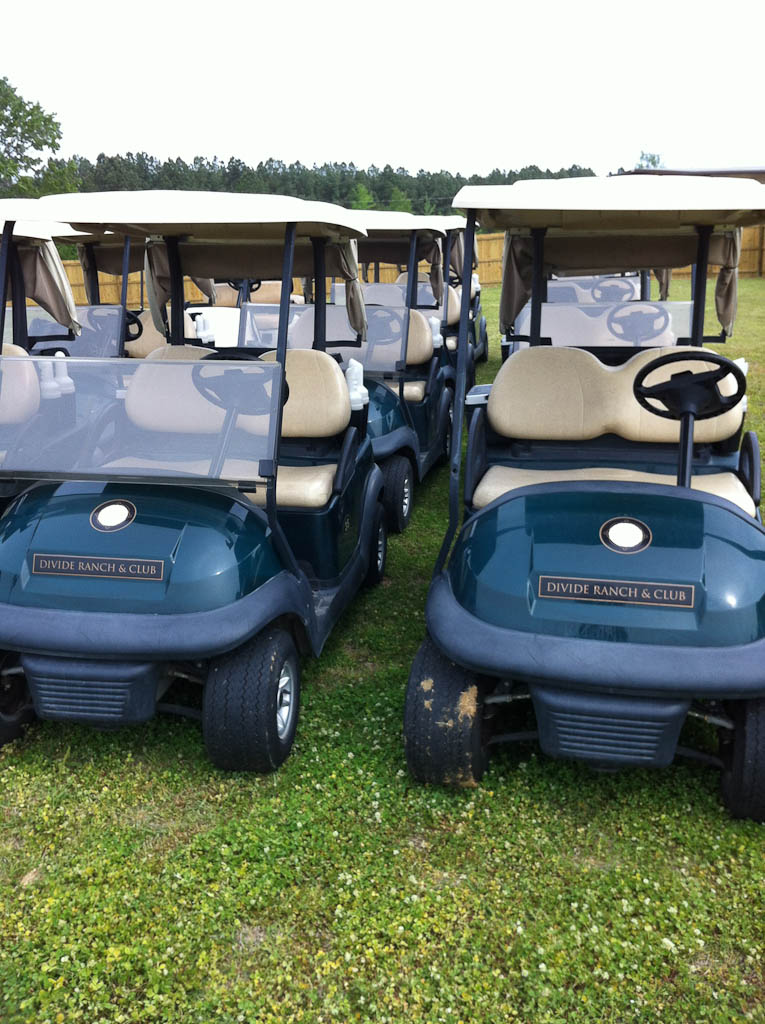  - Southeastern Carts &amp; Accessories - Custom &amp; Pre-owned Golf Carts