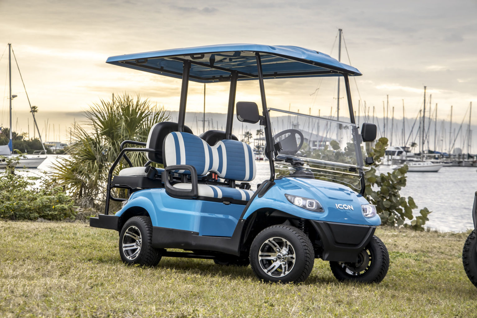 Icon Golf Carts for Sale in Jackson, MS Southeastern Carts